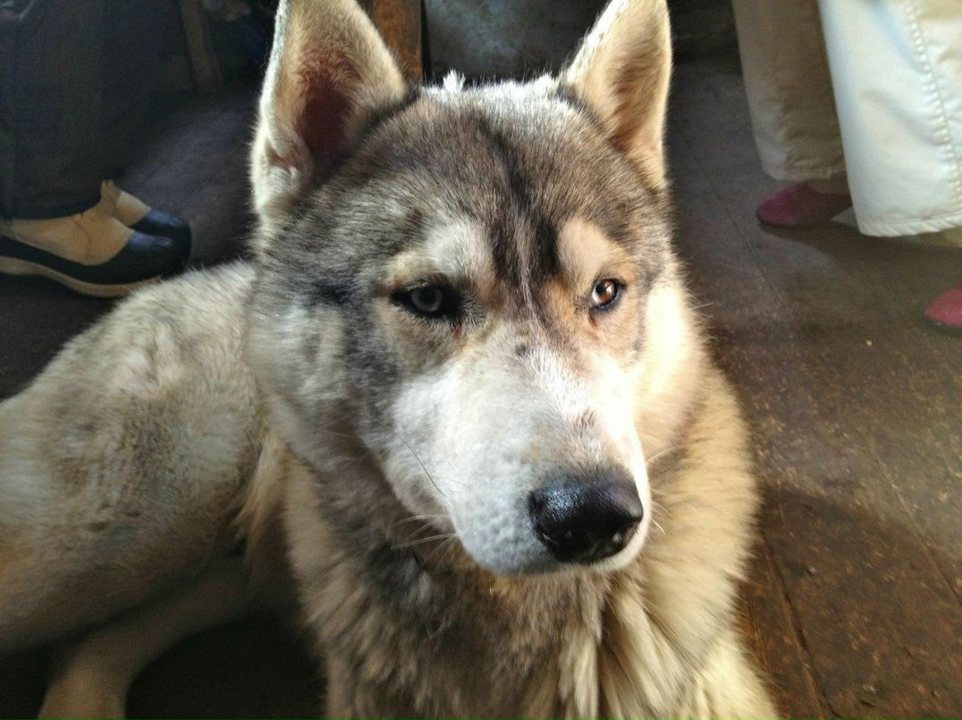 Артем Шляхтин xodzor | Москва