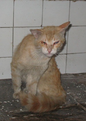 №7, Стаська Погуляева, Челябинск, Россия №7, Стаська Погуляева, Челябинск, Россия