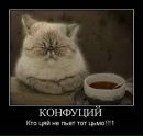 №3 Диана Кулясова 26.08.1988: профиль, фото, статус - ВКонтакте