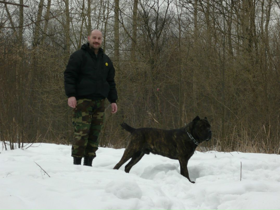 Андрей Мангуст Мангуст | Москва