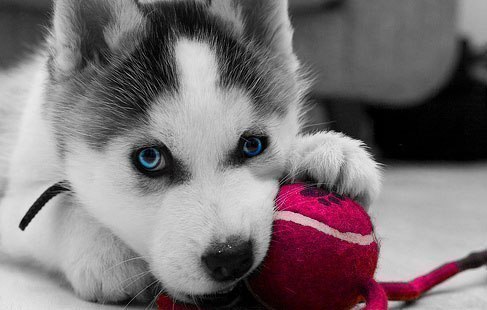 Вадюха Бондарев | Белгород