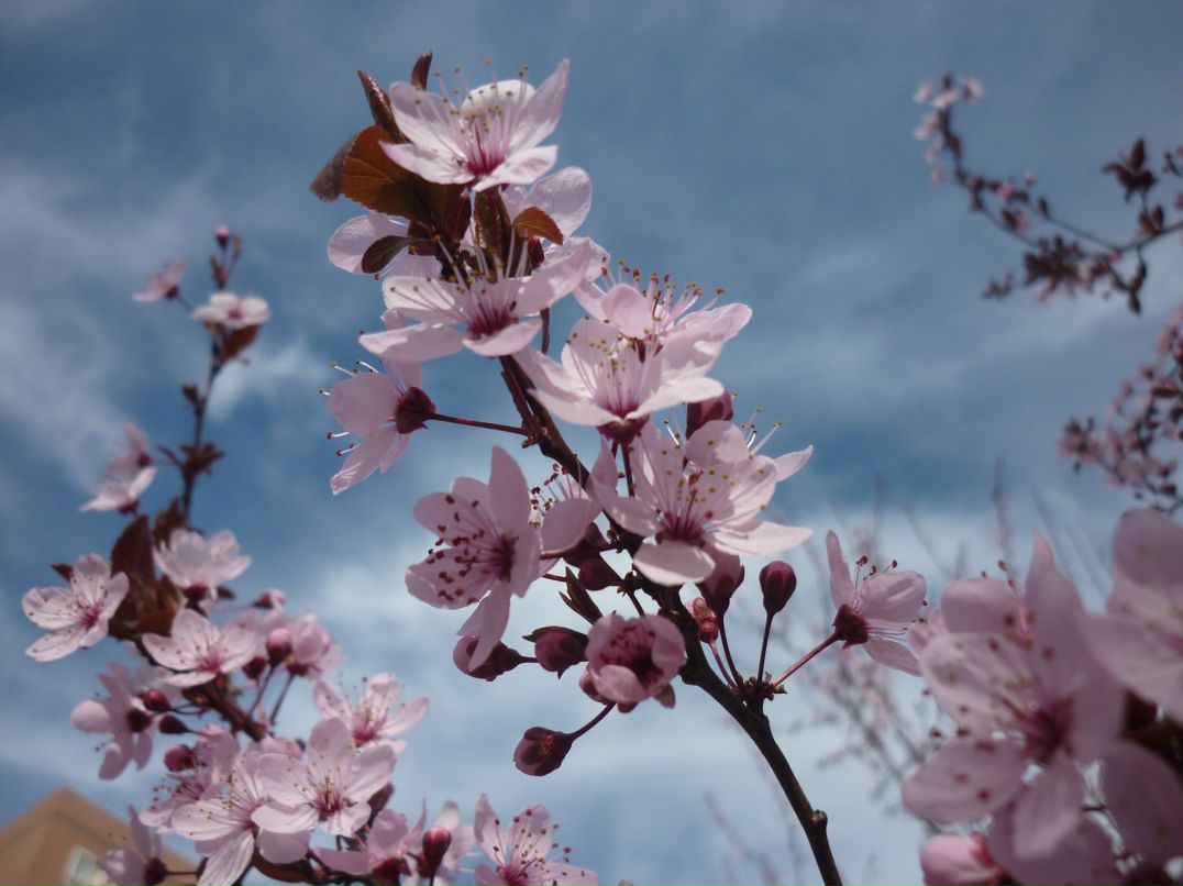 Ольга Гусева | 