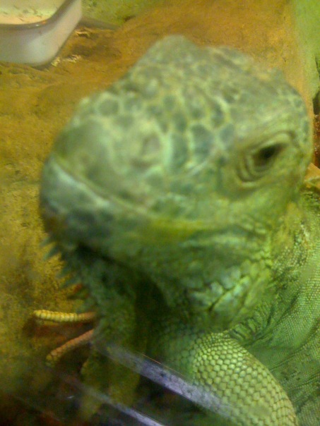 №10, Наталия Шишкова, Москва №10, Наталия Шишкова, Москва