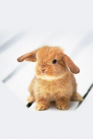 Анастасия Лачкова | Москва