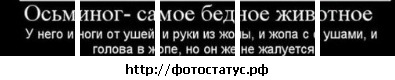 №14, Сергей Будяк, 40 лет, Черкассы №14, Сергей Будяк, 40 лет, Черкассы
