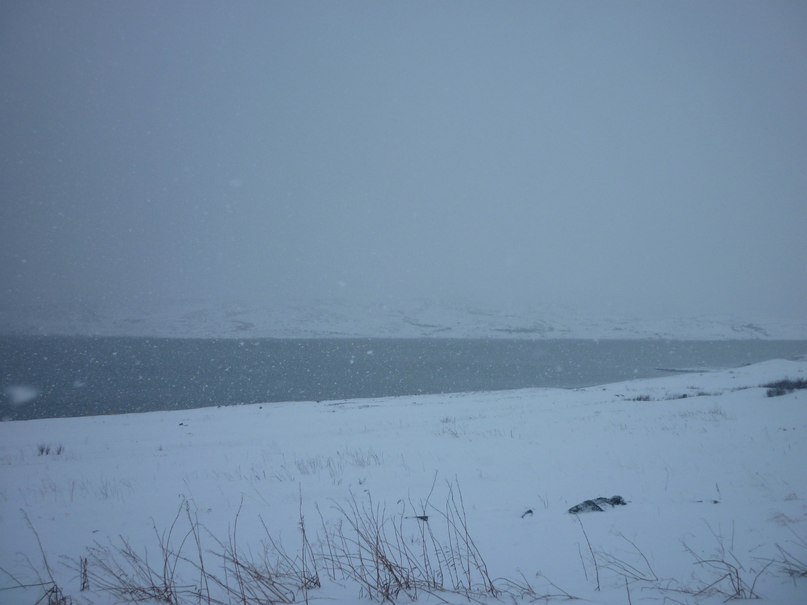 Александр Устинов fight for the right | Мурманск