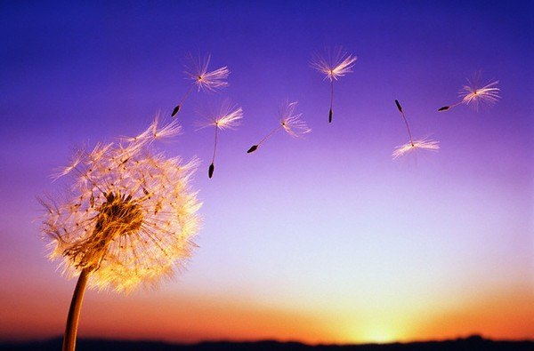 Светлана Лозовая | Самара