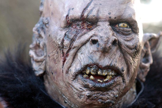 Александр Васильев | Санкт-Петербург