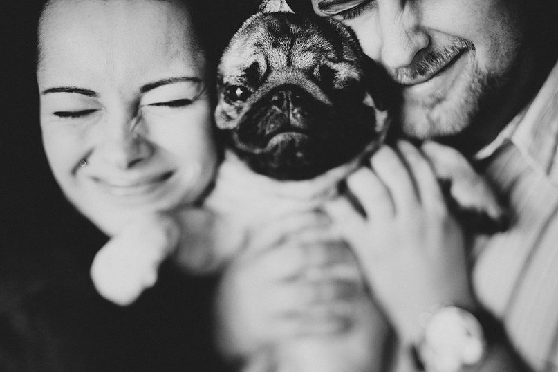 Денис Антощенков | Санкт-Петербург