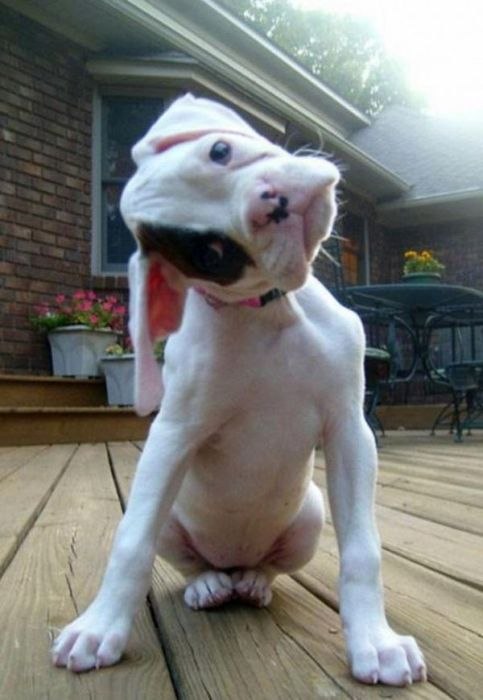 Виктория Концет | Москва