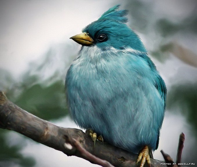 Юля Автомонова | Киев