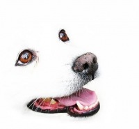 №1, Аня Содевски №1, Аня Содевски