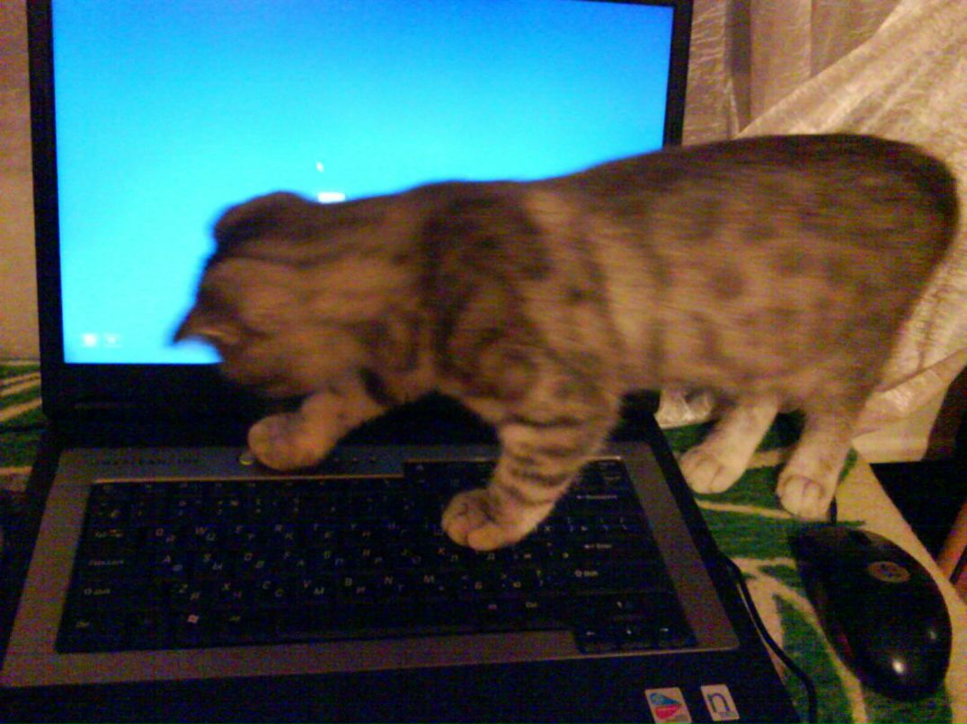 Gulnaz A.r. | Казань