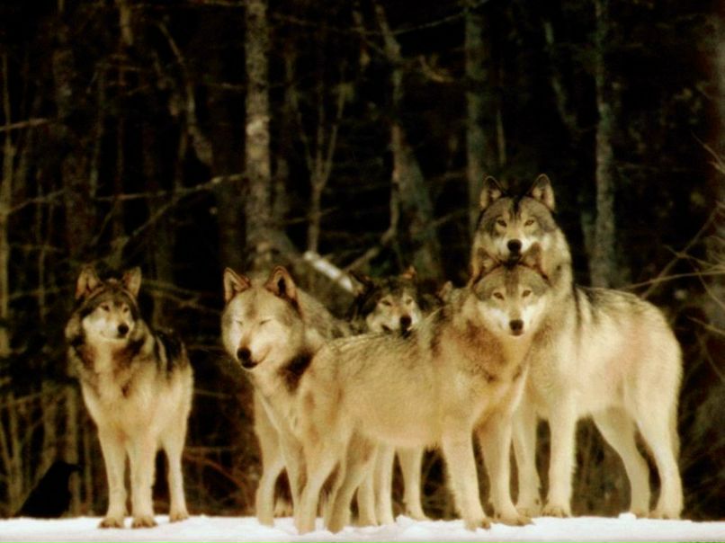 Ефрем Фролов | 