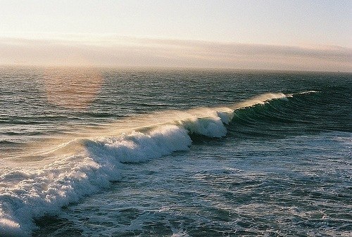 Виктория Носова | Днепр (Днепропетровск)