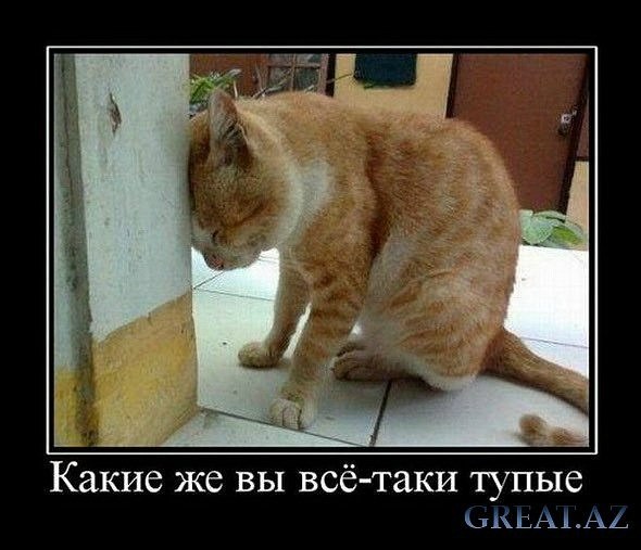 Юля Капелюшок | Киев