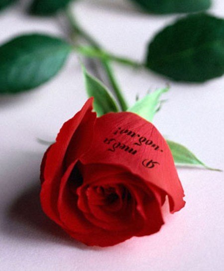 Лена Корнильцева | Екатеринбург