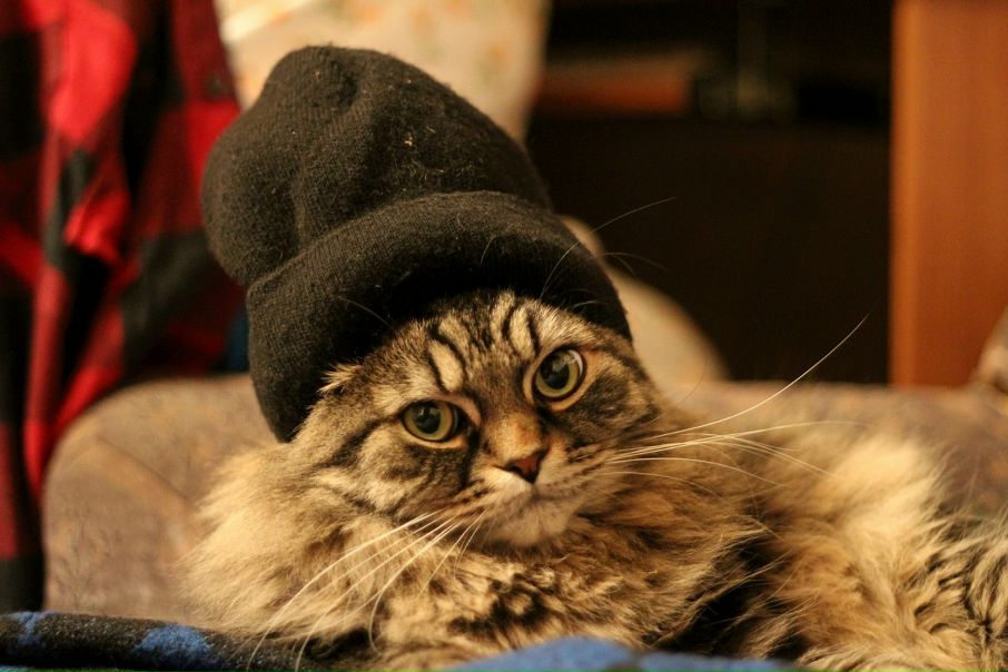 №28, Алёна Дубовикова, Москва №28, Алёна Дубовикова, Москва