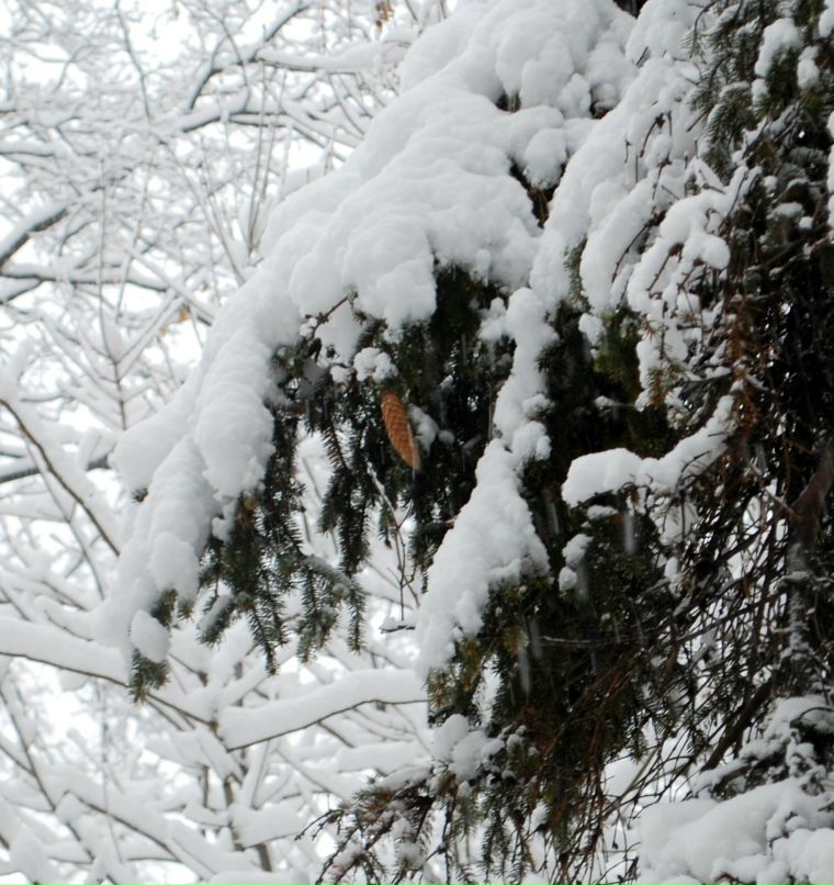 Дмитрий Абашин | Киев