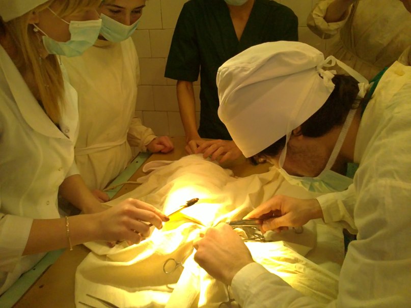 Амир Малиев | Курск