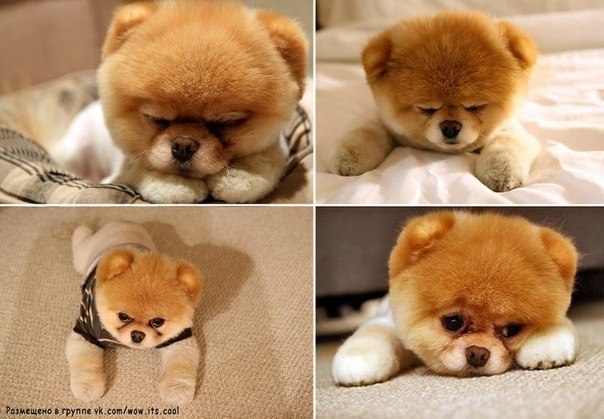 Ириша Михалюк Владимировна | Минск