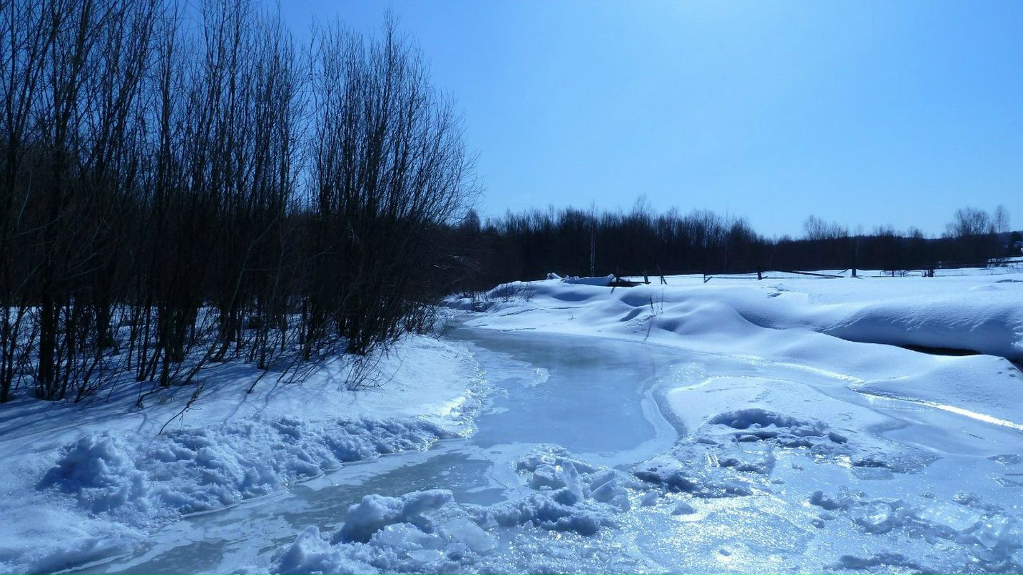 Тарас Вишняк | Новокузнецк