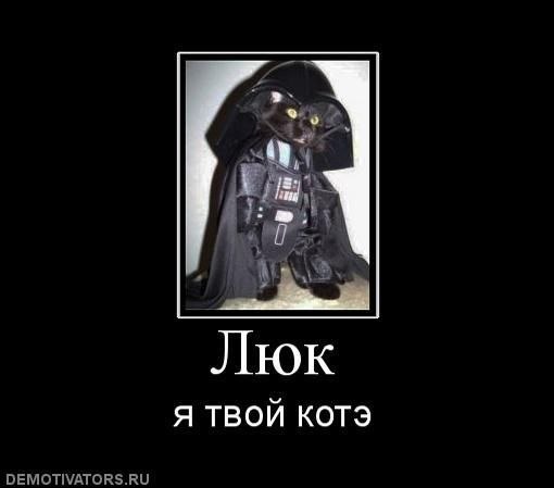 Анастасия Пашук | 