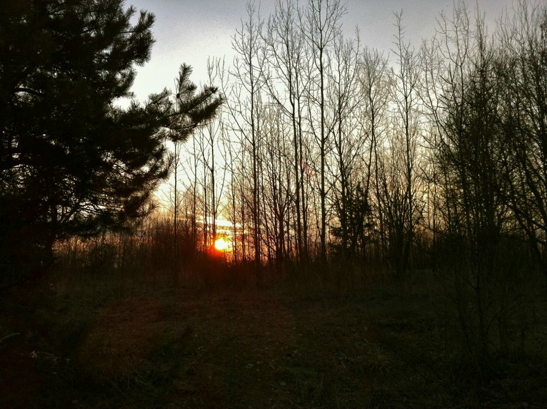 Ilya Koskelainen | Санкт-Петербург