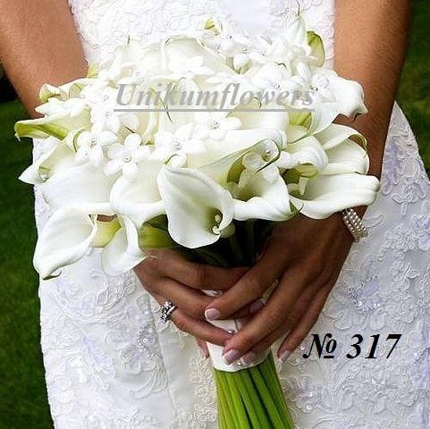 Салтанат Анисова | 