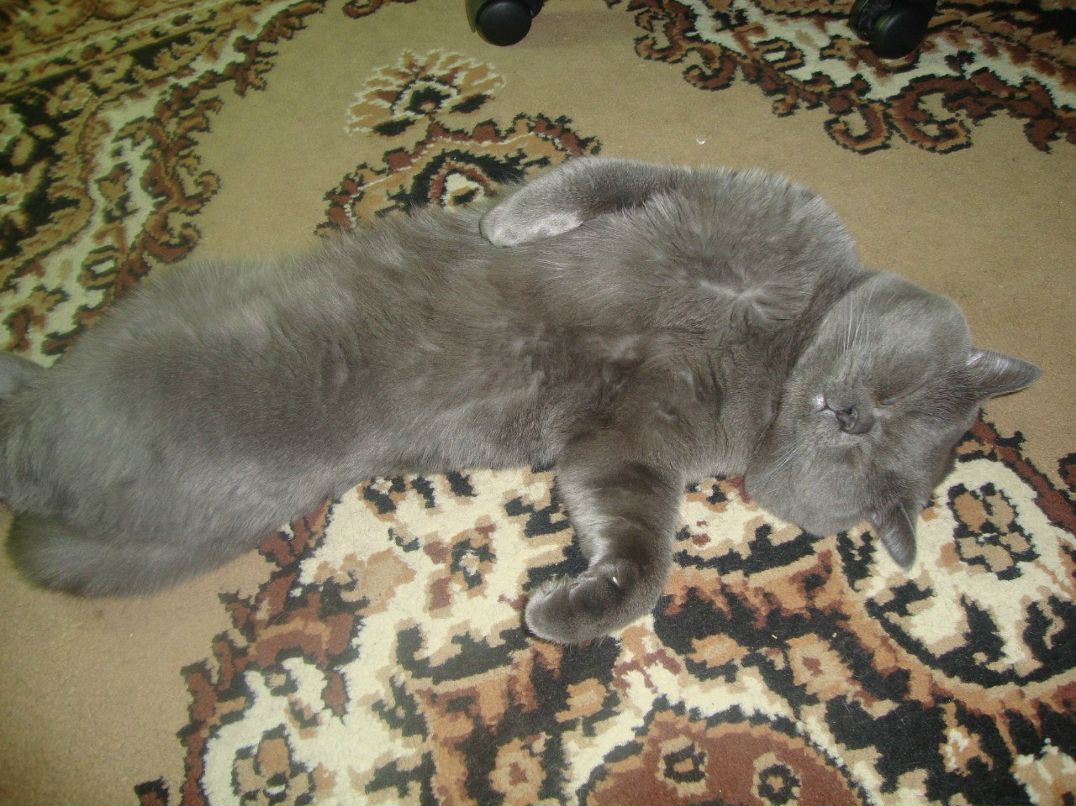 Артур Кариев | Екатеринбург