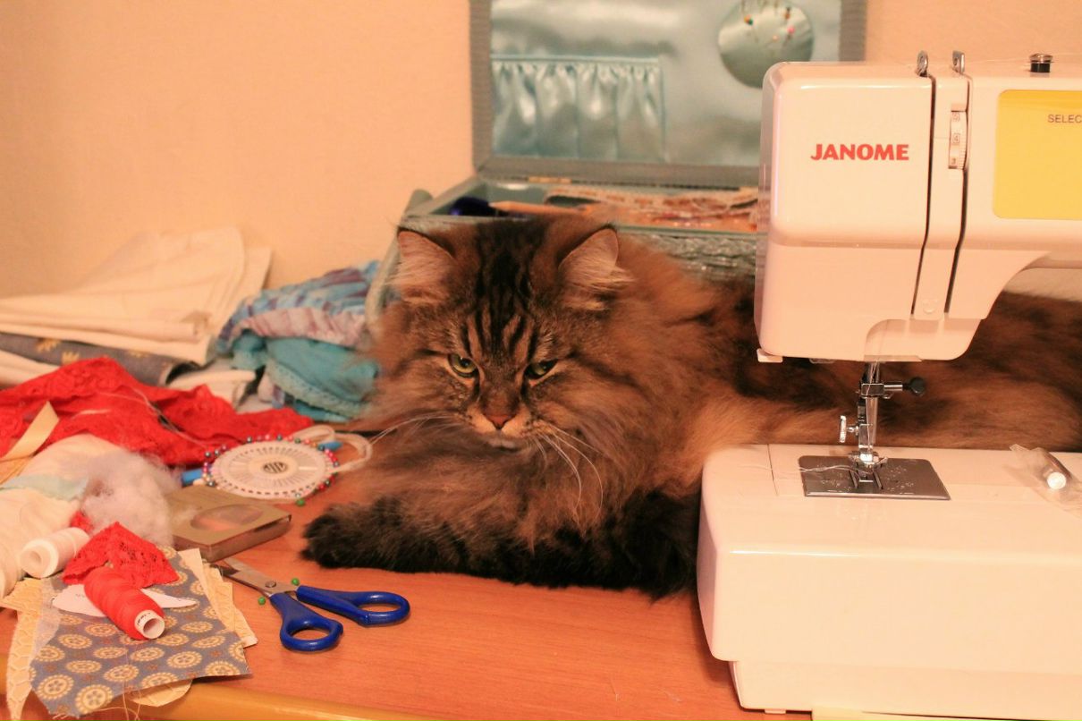 Наталья Евсеева | Челябинск