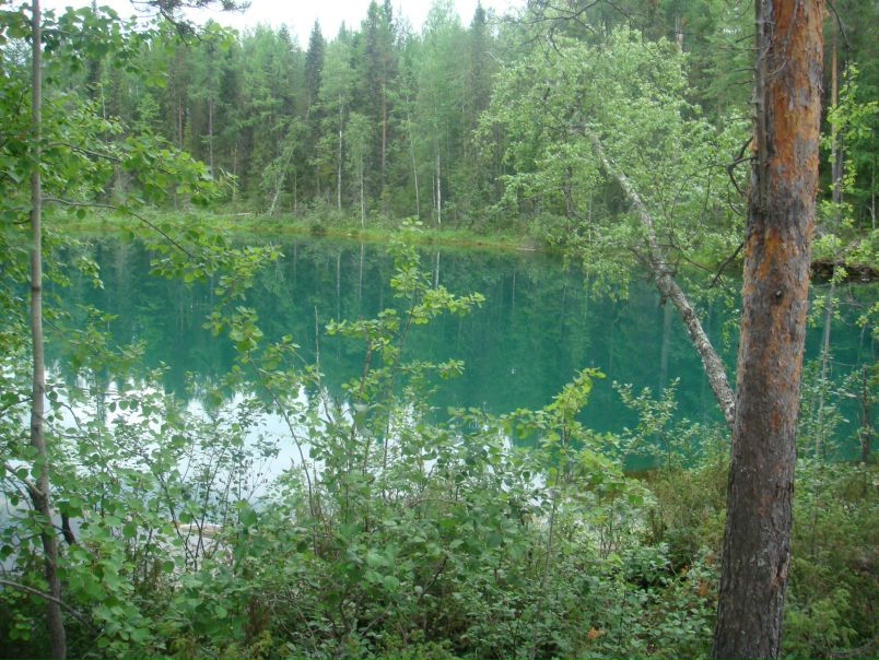 №4, Елена Макридина №4, Елена Макридина