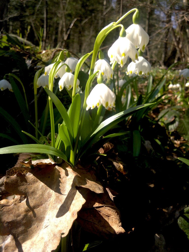 Александра Носова | Москва
