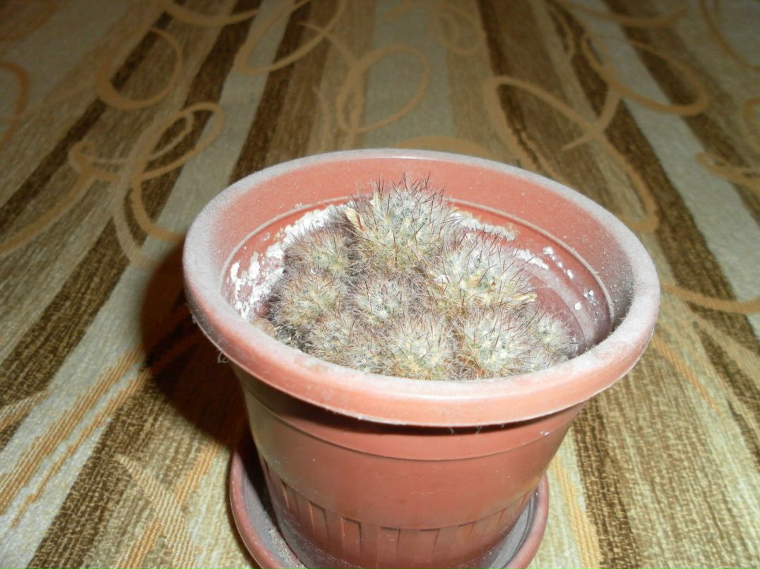 Евгения Загрузина Zhenek | Нижневартовск