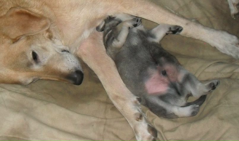 Дарёна Новикова | Санкт-Петербург