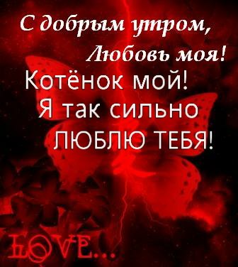 Дима Ильин | Великий Новгород