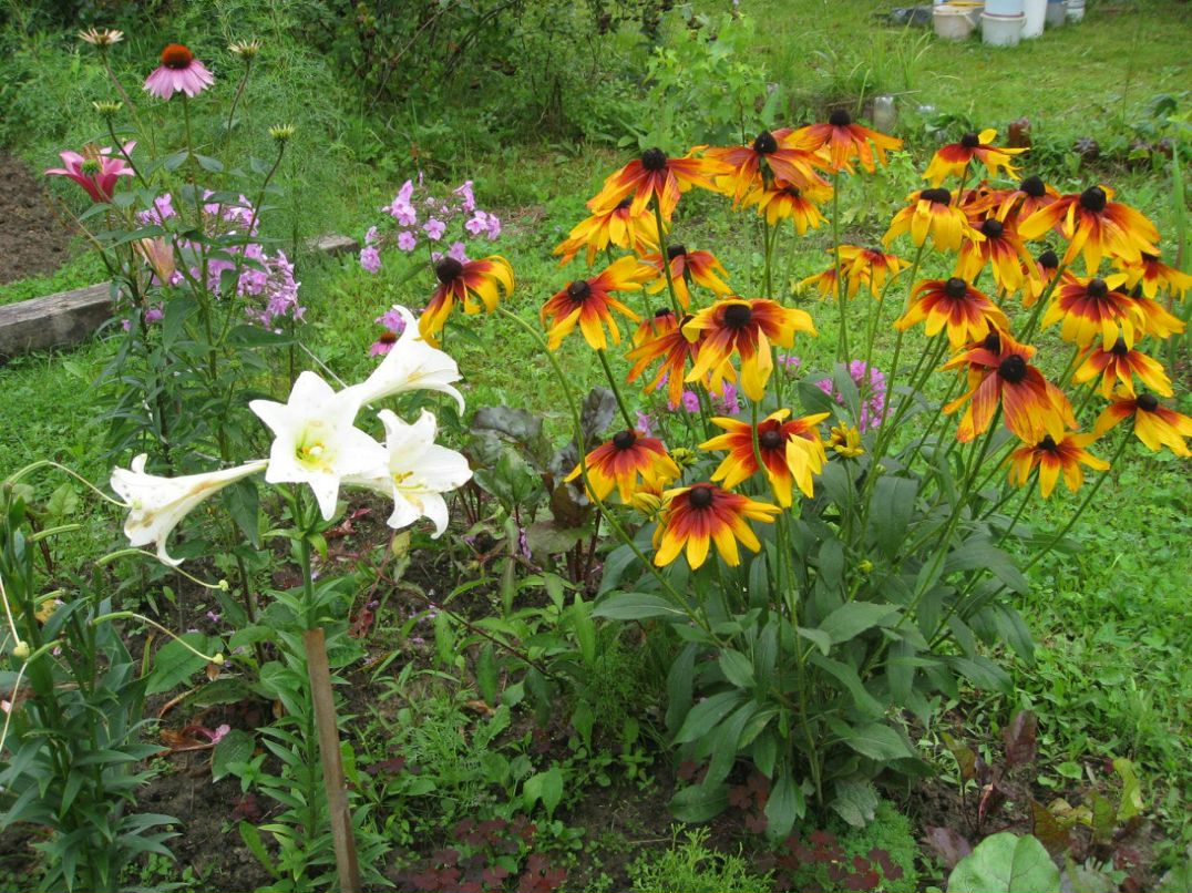 Евгения Рослякова | Санкт-Петербург