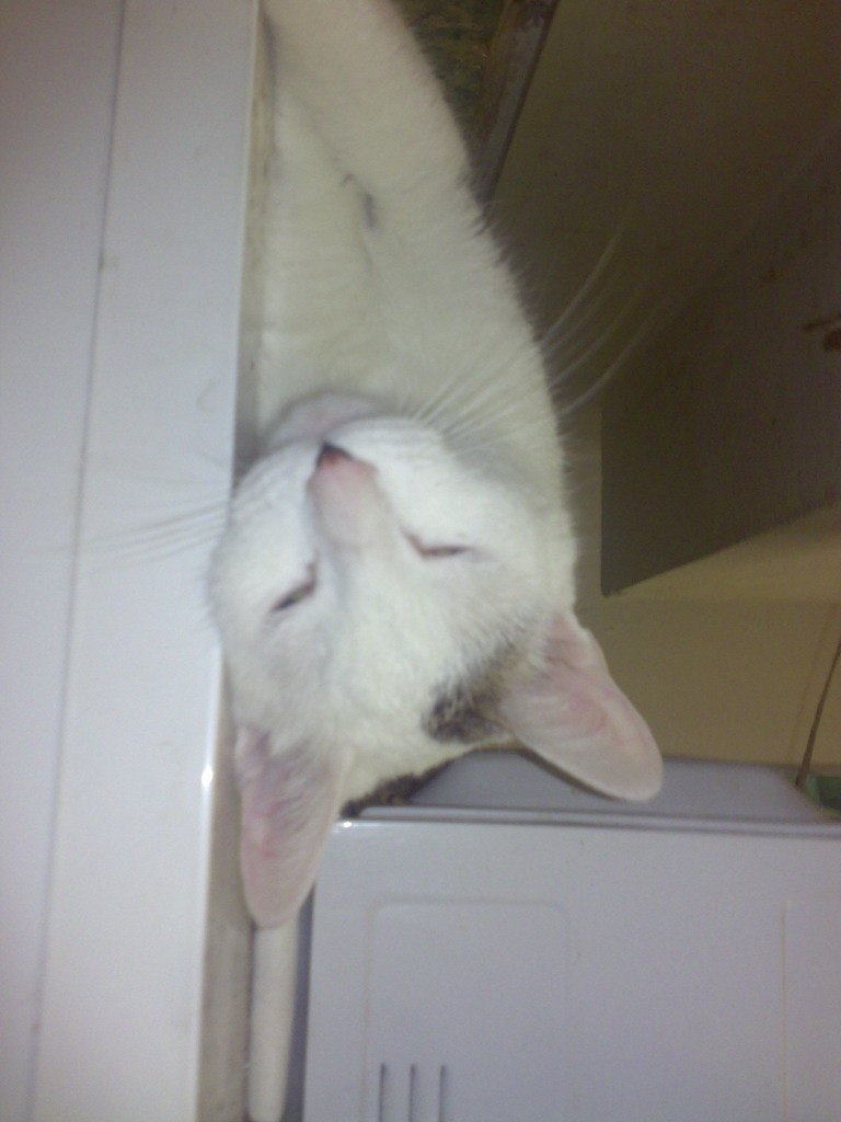 Тарлан Миркамиров Миркамирович | Санкт-Петербург