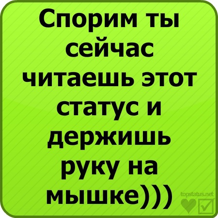 №33, Влада Львова, Мелитополь №33, Влада Львова, Мелитополь