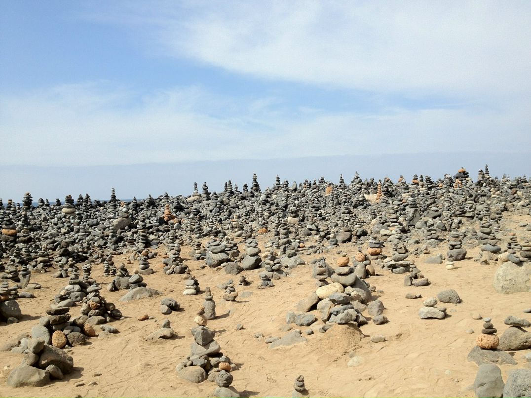 Сергей Ковалёв Солнечный | Санкт-Петербург