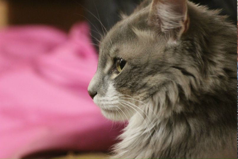 Павел Козлов | Екатеринбург