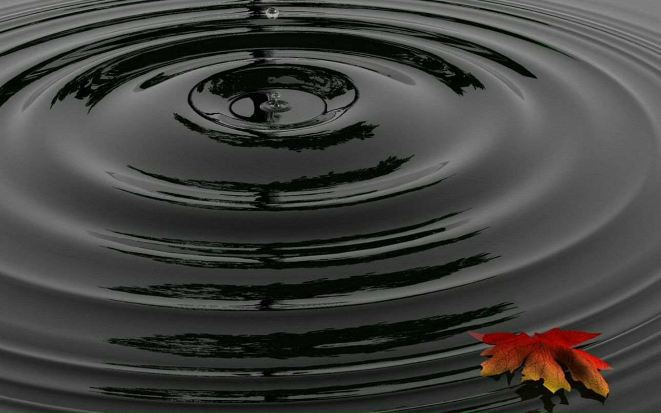 Алёна Молчанова | Тула