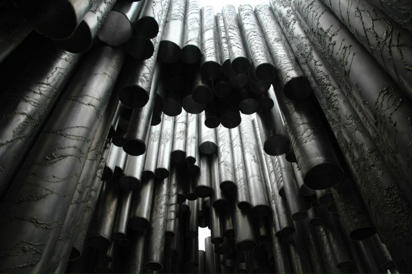 Елена Бардина | Санкт-Петербург