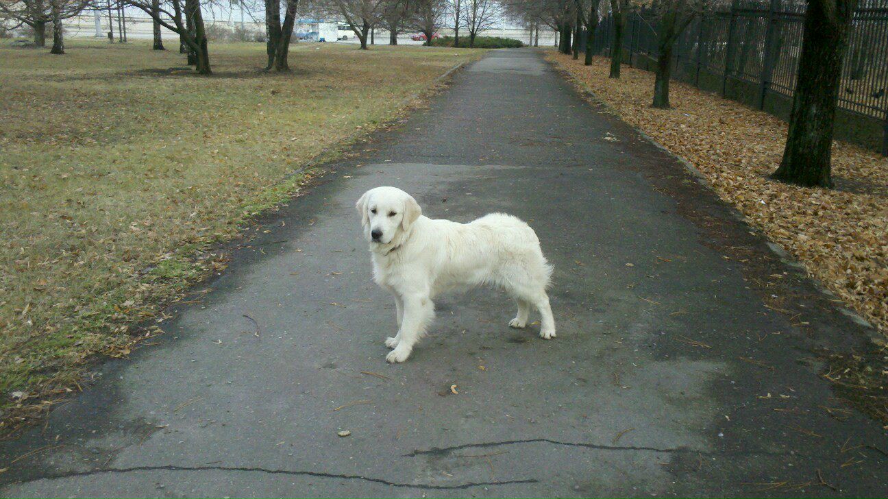 Филипп Гриценко | Запорожье