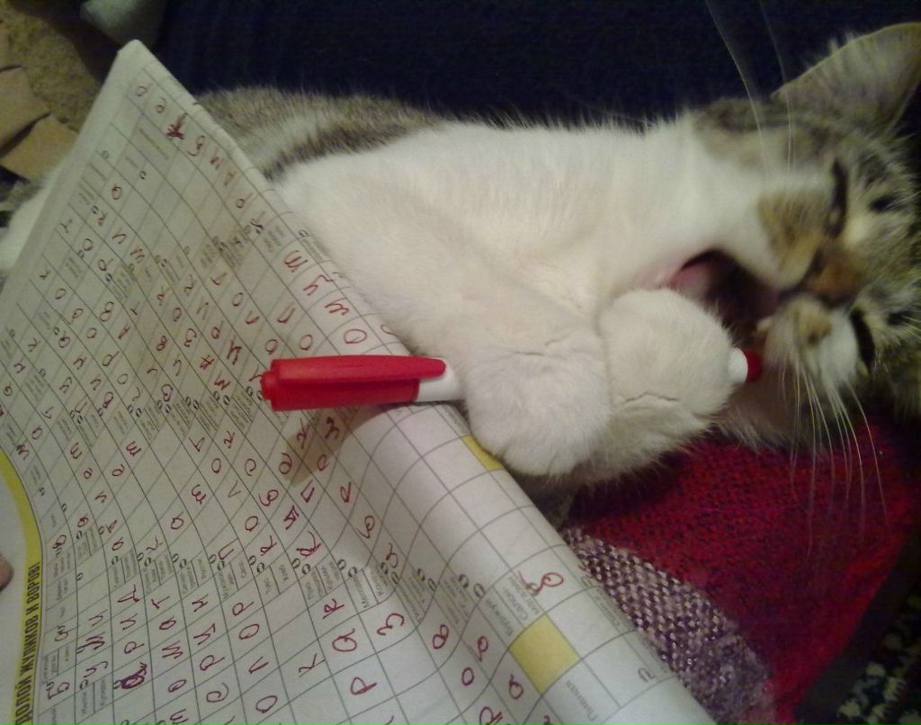 Катя Севрюкова | 