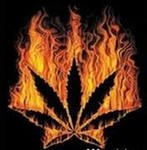 Игорь Гаврилов | Калининград