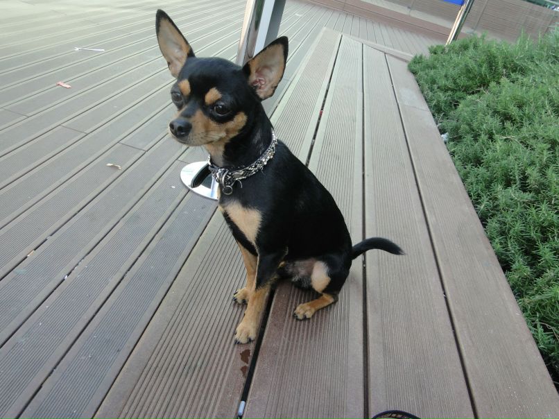 Наталья Воробьёва ๑۩۩๑Kis9๑۩۩๑ | Palma