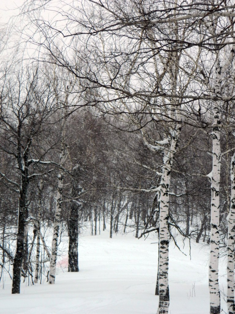Зарина Юсупова | Уфа
