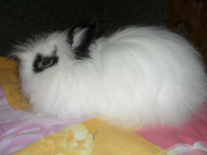 Ксения Гонзерова | Санкт-Петербург