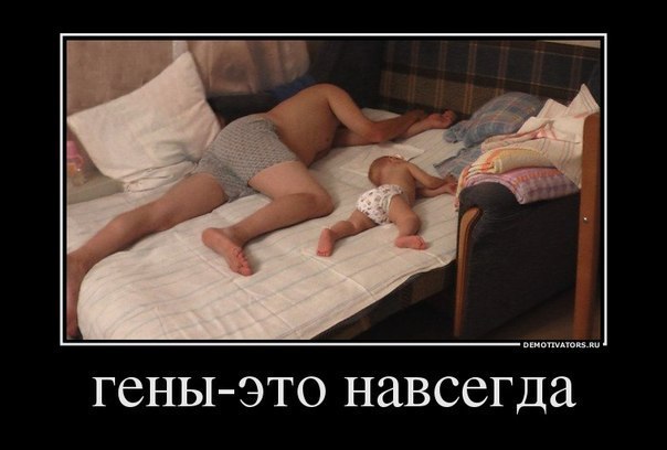 Михаил Ченцов | Великий Новгород
